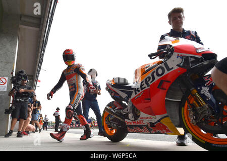 Brno, Czech Republic. 02nd Aug, 2019. Spanish MotoGP rider Marc Marquez during the Czech Grand Prix Moto GP training in Brno, Czech Republic, August 2nd, 2019. Credit: Vaclav Salek/CTK Photo/Alamy Live News Stock Photo