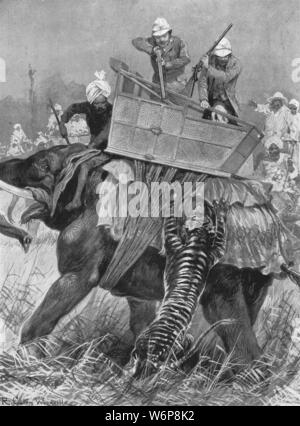 'The Visit of the Prince of Wales to India, 1876: The Prince's Elephant charged by a Tiger in the Nepal Terai, February 21', (1901). Prince Albert Edward (1841-1910), the future King Edward VII, shoots at a tiger as it attacks his elephant. From &quot;The Illustrated London News Record of the Glorious Reign of Queen Victoria 1837-1901: The Life and Accession of King Edward VII. and the Life of Queen Alexandra&quot;. [London, 1901] Stock Photo