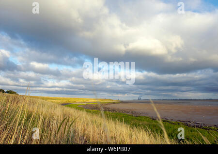 The Western Scheldt at low tide and the dike used as farmland with the Doel nuclear power plant in the background in Zeeland, the Netherlands Stock Photo