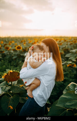 Mother comforts her crying baby while walking on a sunflower field at sunset. Stock Photo