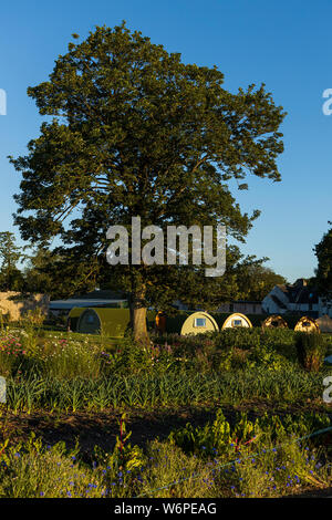 Glamping pods at Cloughjordan House, County Tipperary, Ireland Stock Photo