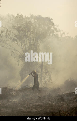 Riau, Indonesia. 2nd Aug, 2019. An Indonesian firefighter from Regional Mitigation Disaster Management Agency of Pekanbaru tries to extinguish peatland fire at Pekanbaru, Riau, Indonesia, Aug. 2, 2019. The Pekanbaru Meteorology, Climatology and Geophysics Agency detected 85 hotspots, indicating potential occurrences of bush and forest fires in several parts of Sumatra Island on Friday morning. Credit: Xinhua/Alamy Live News Stock Photo