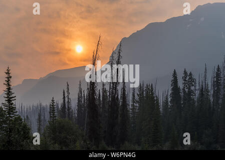 Forest Fire Smoke in Kootenay National Park, British Columbia, Canada Stock Photo