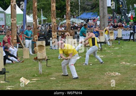 Axemen from several countries competing at the standing block competition at the 100th Royal Welsh Show 2019, Builth Wells Stock Photo
