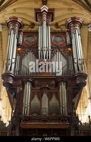 Grand Organ case by John Loosemore, with its many organ pipes, on the pulpitum screen. Exeter Cathedral, properly known as the Cathedral Church of Saint Peter. UK (110) Stock Photo