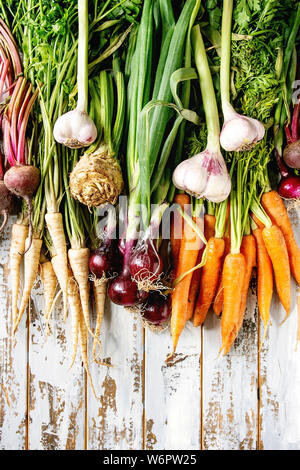 Variety of root garden vegetables carrot, garlic, purple onion, beetroot, parsnip and celery with tops over white wooden background. Flat lay, space Stock Photo