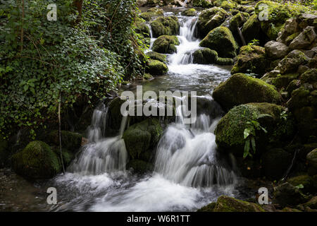 TARA National Park, Serbia - Waterfalls and rapids of a mountain stream Stock Photo