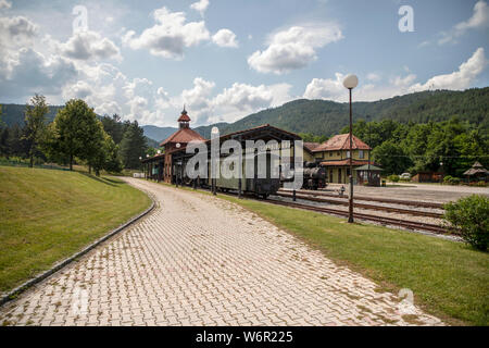 Serbia - Narrow gauge steam trains, still in use for touristic tours, at Village Sargan (Šargan) station Stock Photo