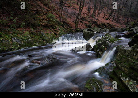 Waterfalls in the river Hoegne Stock Photo