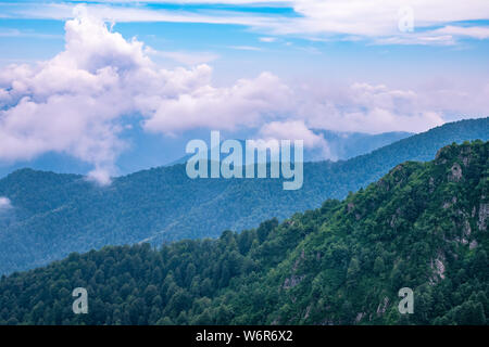 High mountains with forested slopes and peaks hidden in the clouds. Heavy fog in the mountains on a cloudy day. Stock Photo