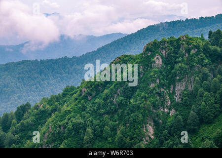 High mountains with forested slopes and peaks hidden in the clouds. Heavy fog in the mountains on a cloudy day. Stock Photo