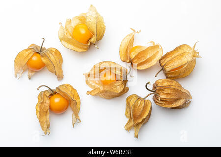 Flowers and fruits of Fisalis (Physalis peruviana) isolated on white background. Viewed from above. Stock Photo