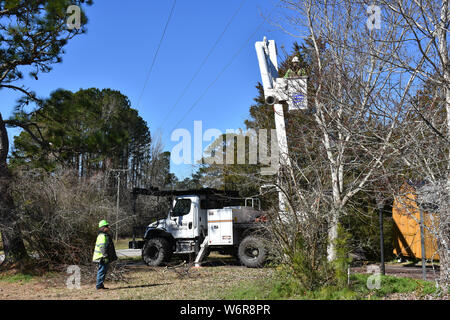 A crew trimming back tree limbs from power lines. Stock Photo