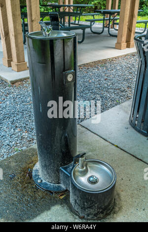 Drinking water fountain for people and dogs at the picnic area in the park on a sunny day in summer Stock Photo
