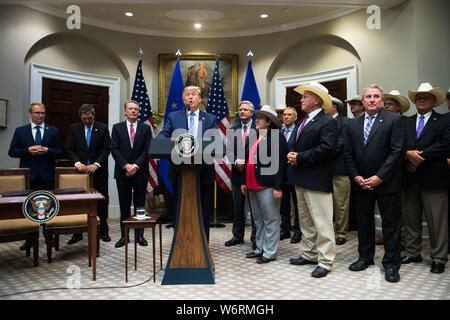 Washington, District of Columbia, USA. 2nd Aug, 2019. United States President Donald J. Trump, speaks alongside US Trade Representative Robert Lighthizer (L), United States Senator John Hoeven (Republican of North Dakota), and members of the beef industry as he announces a U.S. beef trade deal with the European Union, in the Roosevelt Room at the White House in Washington, DC on Friday, August 2, 2019. Credit: Kevin Dietsch/Pool via CNP Credit: Kevin Dietsch/CNP/ZUMA Wire/Alamy Live News Stock Photo