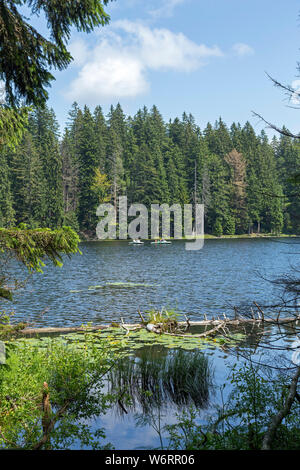 Big Lake Arber, Bayerisch Eisenstein, Bayerischer Wald, Bavaria, Germany Stock Photo