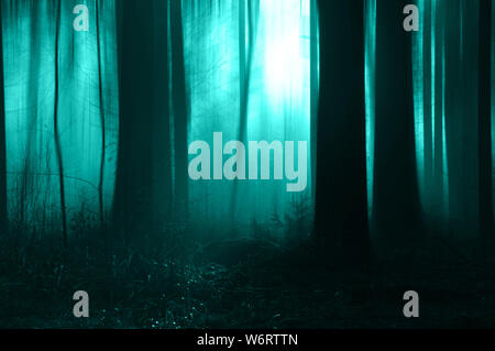 A spooky forest on a misty day in winter. With a blurred, blue green, scary edit. Stock Photo