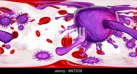 Human cytomegalovirus (HCMV) in blood, 360-degree panorama view, computer illustration. HCMV is a member of the herpesvirus family. It has a high infection rate and is a major cause of disease in vulnerable newborns and immunocompromised patients, but does not typically cause disease in healthy adults. Stock Photo