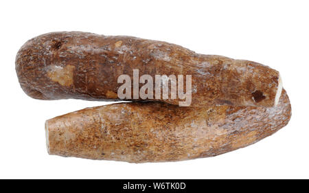 two whole yuca root isolated on white background Stock Photo