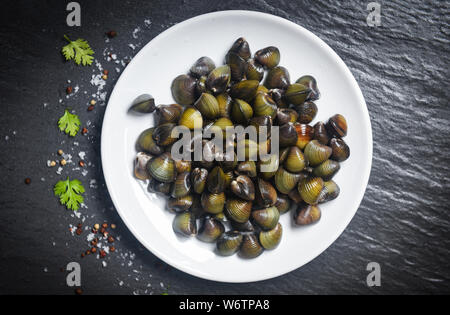 shijimi shellfish freshwater bivalve such as clams shell on white plate with herbs and spices on dark background Stock Photo