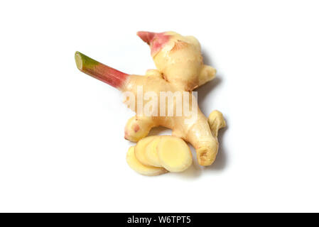 Fresh young ginger root isolated on white background / ginger for herb medicinal natural and food Stock Photo