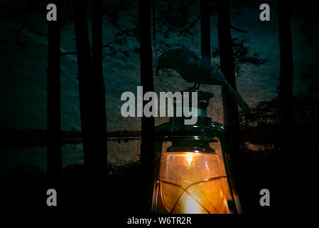 Crow sitting on old lantern with pine tree and river background holiday decorate on halloween background Stock Photo