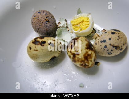 A half eaten quail egg and salt grains in a bowl with others on the menu. Stock Photo