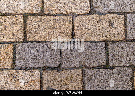 Multicolored Sidewalk Tile Texture. The Texture of Artificial Stone Pavers of Different Colors. Garden stone path with grass growing up between and ar Stock Photo