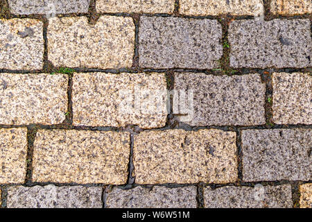 Multicolored Sidewalk Tile Texture. The Texture of Artificial Stone Pavers of Different Colors. Garden stone path with grass growing up between and ar Stock Photo