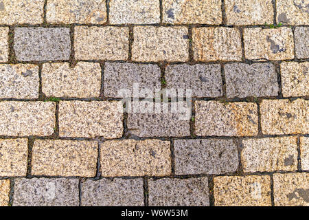 Multicolored Sidewalk Tile Texture. The Texture of Artificial Stone Pavers of Different Colors. Garden stone path with grass growing up between and ar Stock Photo