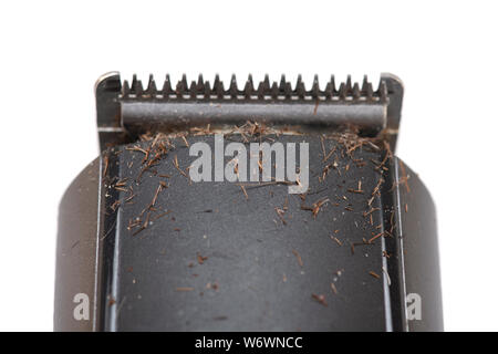 Dirty electric shaver Machine with Hair and Stubble on top - isolated on white Background Stock Photo