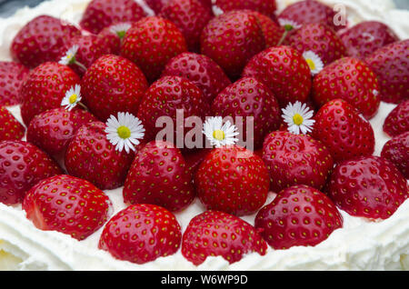 Closeup of a fresh strawberry cake decorated with flowers Stock Photo