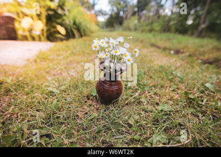 Shallow depth of field image with white wild flowers in a broken clay pot laid on the grass Stock Photo