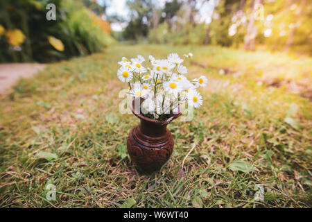 Shallow depth of field image with white wild flowers in a broken clay pot laid on the grass Stock Photo