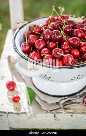 Red sweet cherries in old white strainer in garden Stock Photo