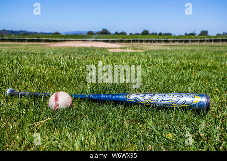 Sonoma's Field of Dreams