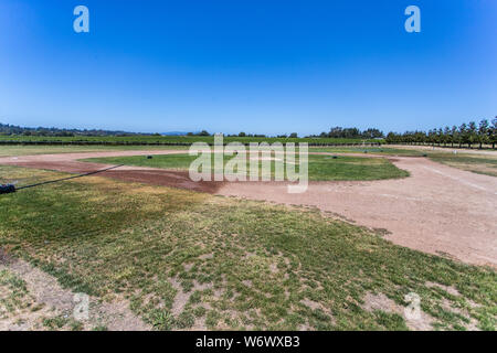 Sonoma's Field of Dreams