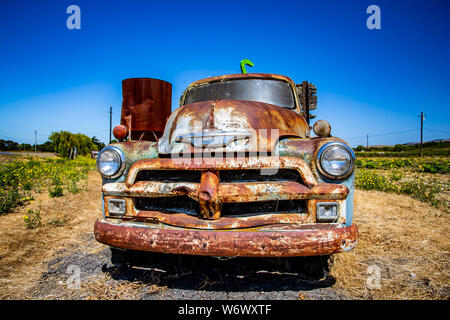 Abandoned old trucks are left in fields along Adobe Road, Sonoma, California Stock Photo