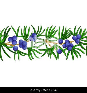 juniper vector pattern on white background Stock Vector