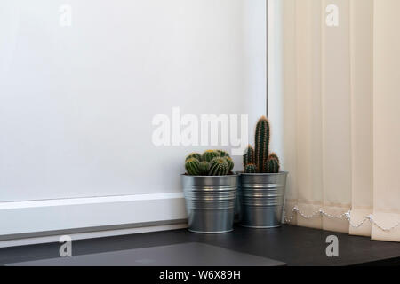 Cacti plants in a pot on a desk Stock Photo