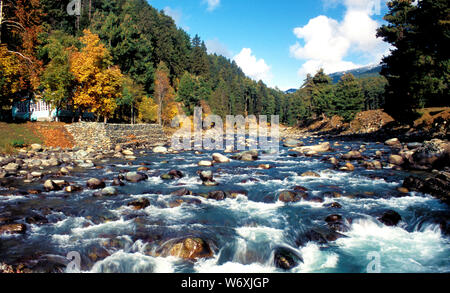 Lidder river, Pahalgam or Pahelgaon, Kashmir, India. Stock Photo