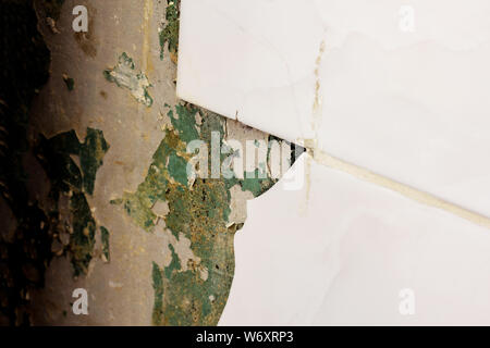 Chipped from the wall of the tile in the bathroom. Stock Photo