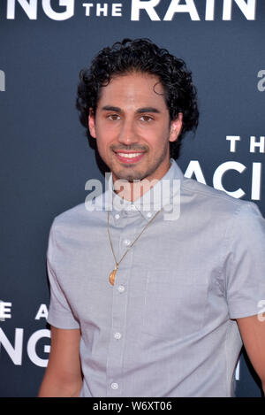 HOLLYWOOD, CA - AUGUST 01: Andres Joseph arrives for the Premiere Of 20th Century Fox's 'The Art Of Racing In The Rain' held at El Capitan Theatre on Stock Photo