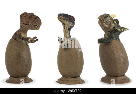 Baby tyrannosaurus rex, baby velociraptor and baby triceratops into egg isolated on white background Stock Photo
