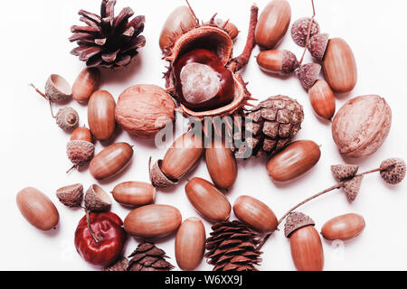 Composition of chestnut, pine cones, acorns on a white background. creative concept of autumn. Pastel colors. Top view, flat Stock Photo