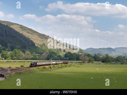 GWR Prairie tank 5199 arriving at Carrog  (Llangollen railway, Wales) with the 1300 Llangollen - Carrog Stock Photo