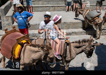 Greece, Rhodes, the largest of the Dodecanese islands. Historic Lindos. Donkeys that take tourists up the narrow allies to the ancient Acropolis. Stock Photo