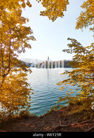 Lake Bled and famous island thru autumn leaves, Slovenia Europe. Stock Photo