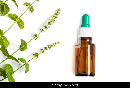 one Bottle of herbal medicine dropper with green mint branches on white background and copy space. Stock Photo