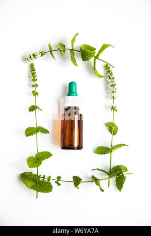 concept of health. Herbal medicine with green mint branches on a white background in a frame of plants,top view. Stock Photo